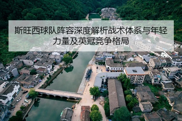 斯旺西球队阵容深度解析战术体系与年轻力量及英冠竞争格局